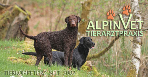 Alpinvet Logo